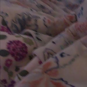 Meet your Posher, Bailey